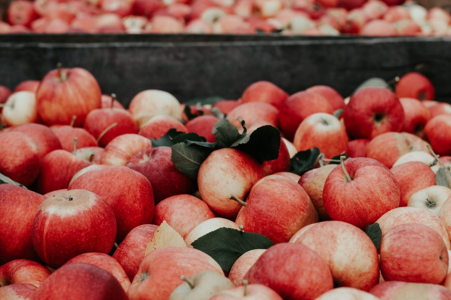আপেলের (Apple) স্বাস্থ্যোপযোগিতা