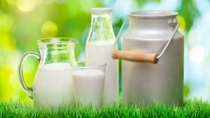 গরুর দুধ: স্বাস্থ্যের জন্য একটি চমৎকার উপহার