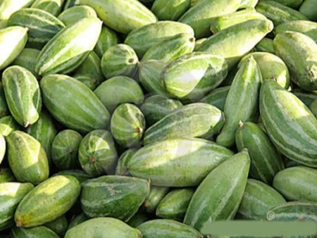 পটল: সাস্থ্যের জন্য আদর্শ সবজি