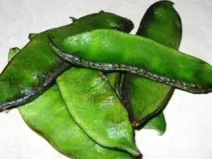 শিমের চমৎকার স্বাস্থ্যগত গুণাবলী