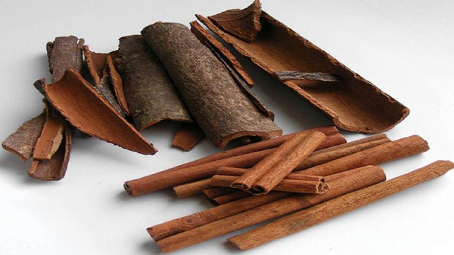 দারুচিনির উপকারিতা দারুচিনির উপকারিতা