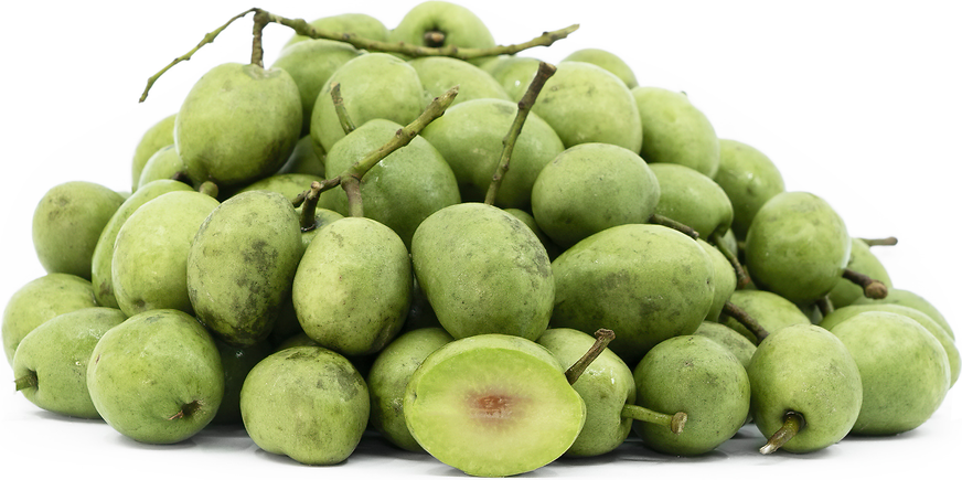 ক্ষুদ্র এই সবুজ ফলটি শুধু স্বাদে নয়, স্বাস্থ্যেও অনন্য—জলপাই, প্রকৃতির এক বিস্ময় ক্ষুদ্র এই সবুজ ফলটি শুধু স্বাদে নয়, স্বাস্থ্যেও অনন্য—জলপাই, প্রকৃতির এক বিস্ময়