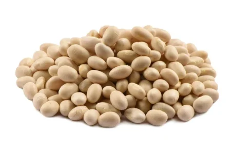 নেভি বিনস ডাল (Navy Beans) : ছোট সাদা দানায় পুষ্টি ও স্বাদের নির্ভরযোগ্য উৎস