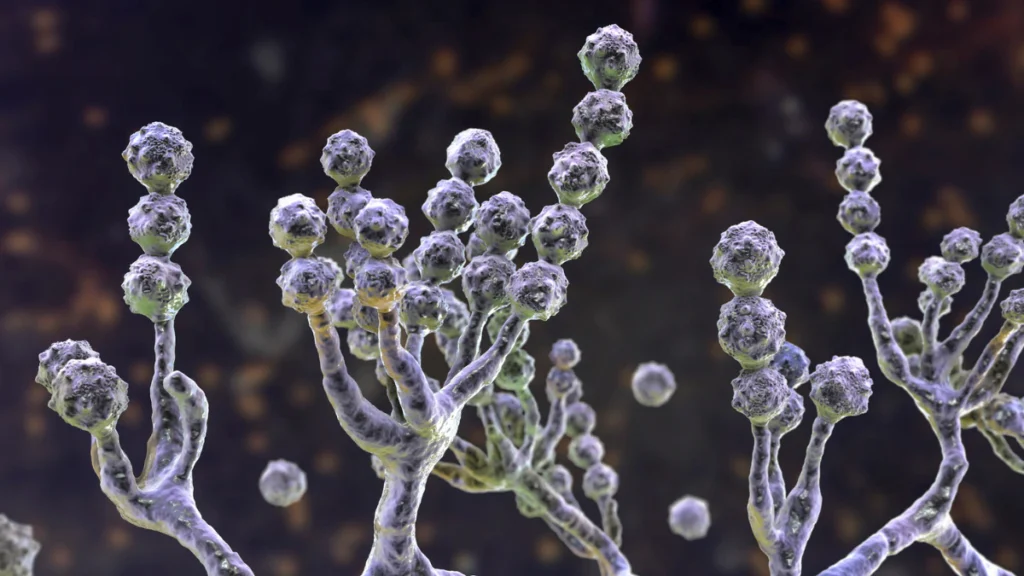 ফাংগাল ইনফেকশন কমানোর উপায়