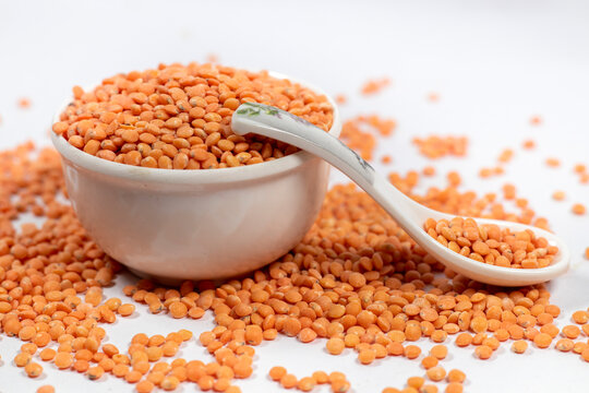 পুষ্টির ভাণ্ডার ও স্বাস্থ্যকর খাদ্য- মসুর ডাল পুষ্টির ভাণ্ডার ও স্বাস্থ্যকর খাদ্য- মসুর ডাল