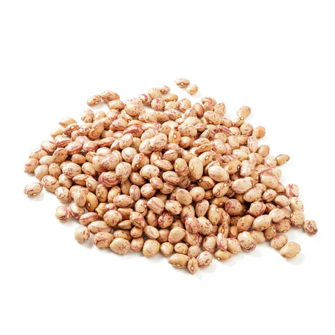 পুষ্টিগুণে ভরপুর বহুমুখী এক ডাল- পিন্টো বিনস পুষ্টিগুণে ভরপুর বহুমুখী এক ডাল- পিন্টো বিনস