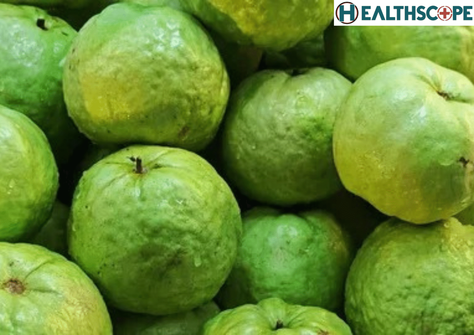 পেয়ারা (Guava) খাওয়া স্বাস্থ্যের জন্য কতটা উপকারি?